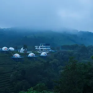 Monticle Glamps Vagamon